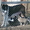 продаю вольерных щенков азиатской овчарки  - Изображение #3, Объявление #22734
