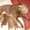шарпея щенки продаются - Изображение #1, Объявление #152760