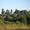 Продам земельный участок в селе Неверково Борисоглебского р за - Изображение #2, Объявление #190216
