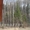 Новая зимняя дача у леса - Изображение #4, Объявление #266963