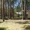 Детский лагерь и база отдыха на озере Плещеево продаются в хорошем состоянии - Изображение #4, Объявление #373668