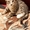 Котенок-полосатик в добрые руки - Изображение #2, Объявление #376951