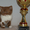 Котята редких окрасов на продажу - Изображение #2, Объявление #695170