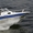 Продаем катер (лодку) Silver Shark WA 605 - Изображение #4, Объявление #1191902