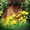 Родезийский риджбек щенки - Изображение #2, Объявление #1426533
