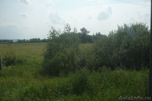 земельный участок в Костромском районе - Изображение #5, Объявление #175470