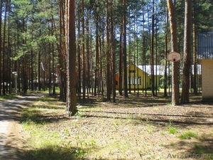 Детский лагерь и база отдыха на озере Плещеево продаются в хорошем состоянии - Изображение #4, Объявление #373668
