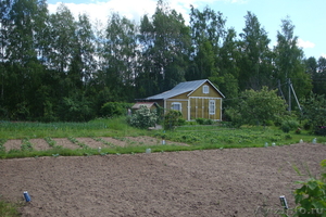 Продается дом с участком на берегу Рыбинского моря - Изображение #1, Объявление #700808