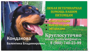 Любая Ветеринарная помощь  - Изображение #1, Объявление #924759
