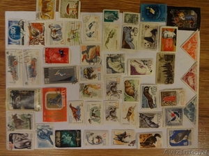 Почтовые марки СССР и различных животных - Изображение #1, Объявление #1052228