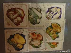 Почтовые марки СССР и различных животных - Изображение #2, Объявление #1052228