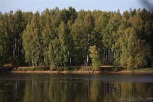 Продажа земли у Рыбинского водохранилища! - Изображение #5, Объявление #1131586