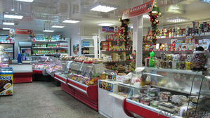 Продуктовый магазин с прибылью 260 000 руб в месяц - Изображение #1, Объявление #1345127